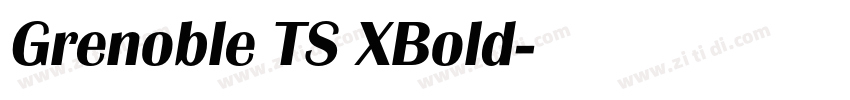 Grenoble TS XBold字体转换